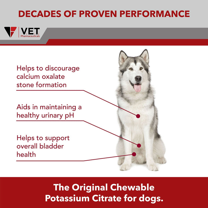K - CIT - V Potassium Citrate for Dogs, 100 Chewable Tablets - 015VBI-KCV100 - 640 mg x 100 ct - 5