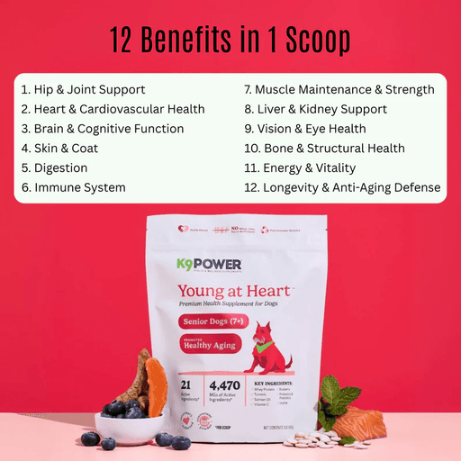 K9 Power Young at Heart Senior Dog Health Formula - OGK9 - 1 lb - 2