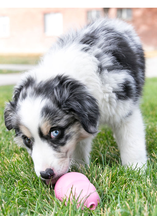 Puppy KONG - Puppy Kong, X-Small (2¼")  