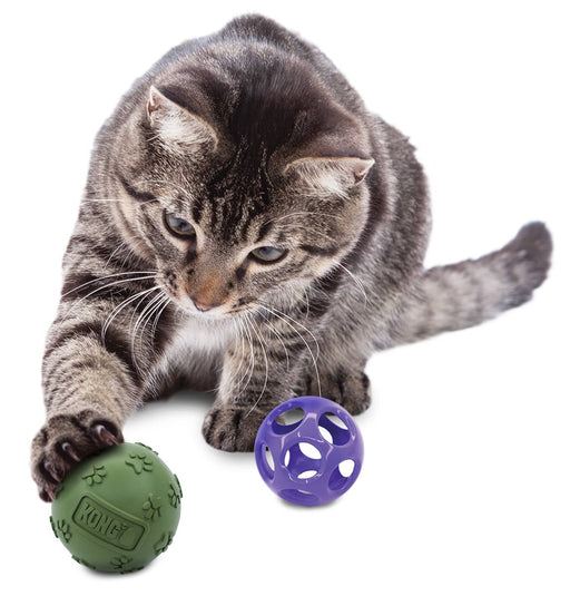 KONG Moon Ball w/Paw Ball Catnip, Purple -   