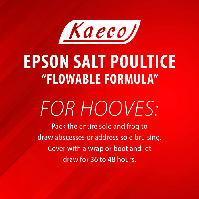 Kaeco Epsom Salt Poultice - Jeffers - Animal Health & Wellness > Skin & Coat Care