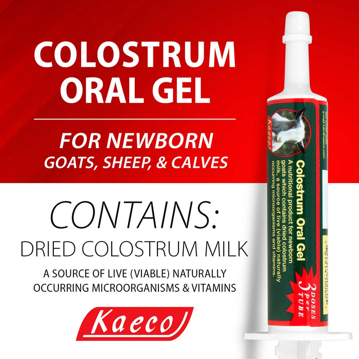 Kaeco Multi - Species Colostrum Supplement Gel, 30 mL - Jeffers - Cattle Supplies > Cattle Supplies