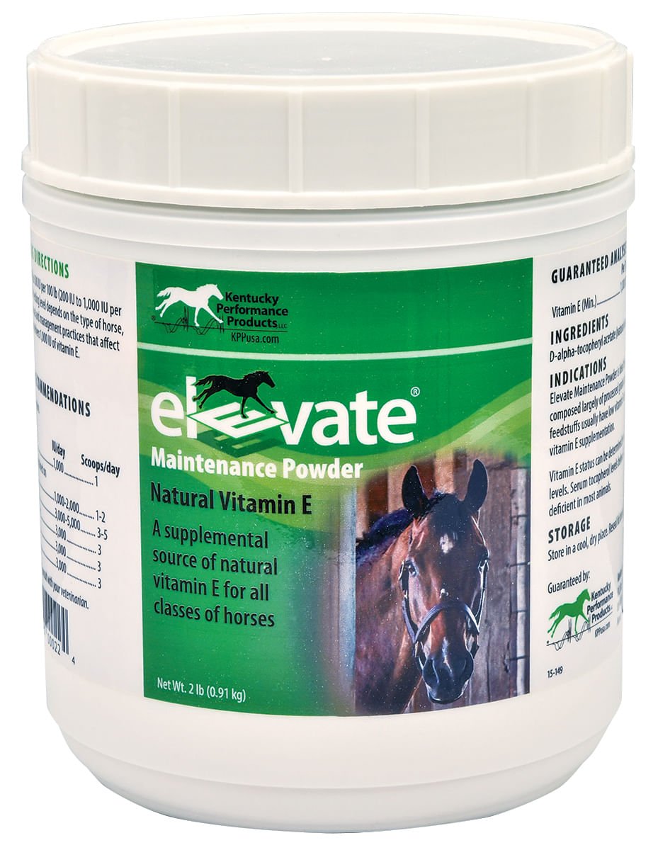 Elevate Maintenance Powder, 2 lb — Jeffers