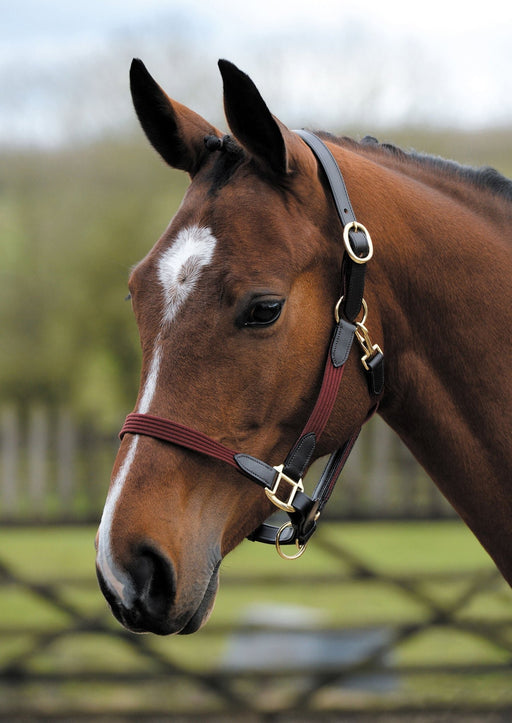Kincade Leather & Web Halter – Adjustable, Durable Horse Halter with Snap Throat - 0V4LY - Burgundy/Brown - Full - 1