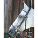 Kineton Noseband - Jeffers - Horse Supplies > Horse Tack > Bridles & Headstalls