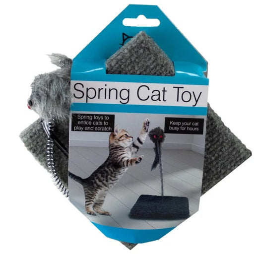Spring Cat Toy  