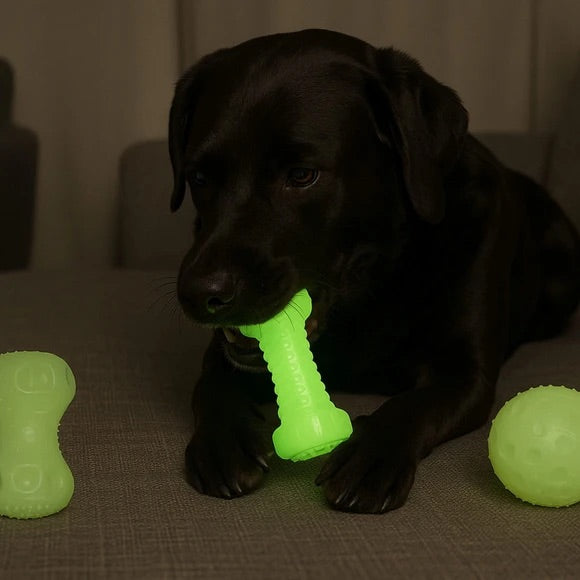 Glow in the Dark Squeaking Dog Chew Toy Assortment  