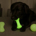 Glow in the Dark Squeaking Dog Chew Toy Assortment  