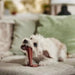 5.75 Wood Fiber T-Bone Pet Dog Chew Toy Size 5.75