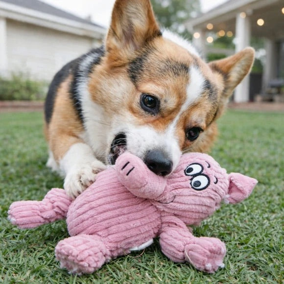 Animal-Shaped Plush Pet Squeaker Toy  