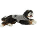 Bone Dry Embroidered Gray Microfiber Pet Robe with Adjustable Closure  
