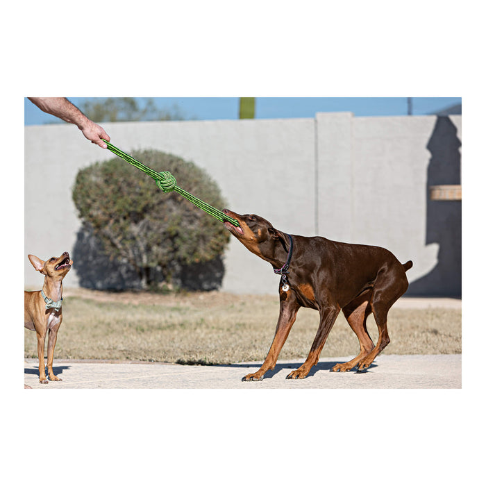 Knot - n - Chew Small/Medium, Gentle Tugger - H7W3 - Green/Black - Small/Medium - 3