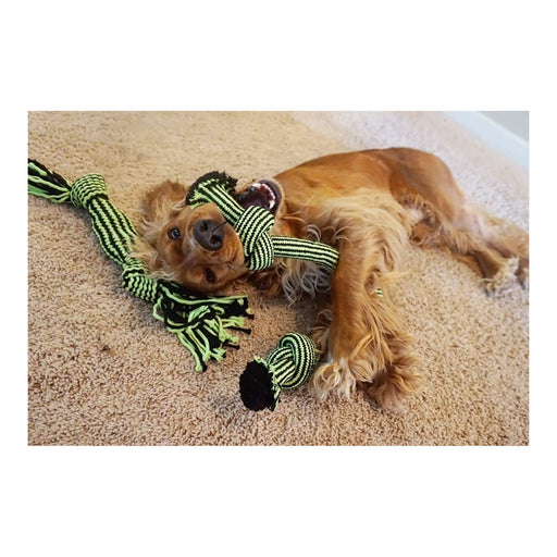 Knot - n - Chew, Small/Medium - H7VW - Green/Black - 2 Knot - 2