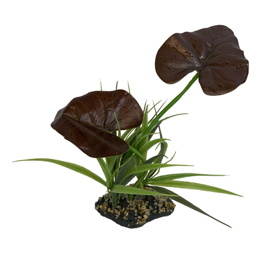 Komodo Canopy - MR1D4 - Rainforest - 2