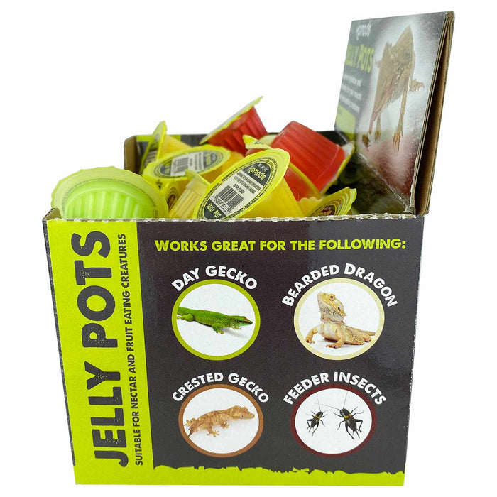 Komodo Jelly Pots, Fruit Mix - MR1FJ - assorted mango, strawberry, banana, melon - 40 - 4