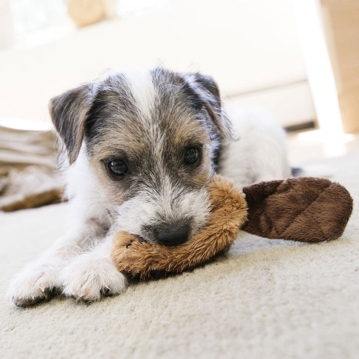 KONG Dr. Noyz X - Small Plush Dog Toys – Stuffing - Free, Soft Cuddle Toy with Removable and Extra Squeaker for Small Dogs - K912U - Beaver - XSmall - 1 ct - 26