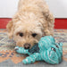 KONG Floppy Knots Plush Dog Toy with Internal Rope & Squeaker - K9AC8 - Teal Hippo - XSmall - 1 ct - 40