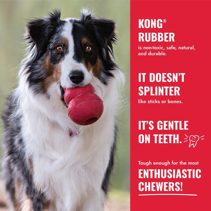 KONG Goodie Bone Rubber Dog Chew Toy, Medium - K9ABL - Red - Medium - 1 ct - 8