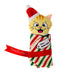 KONG Holiday Plush Pull - A - Partz™ Present Cat Toy, Assorted Colors - K9AA9 - Assorted - 1 ct - 4