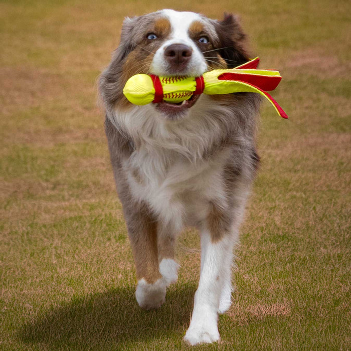 KONG Wubba® Sport Tug & Fetch Dog Toy with Long Floppy Tail & Squeaker - K9AD3 - Yellow Softball - Small - 1 ct - 5