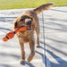 KONG Wubba® Sport Tug & Fetch Dog Toy with Long Floppy Tail & Squeaker - K9AD5 - Orange Basketball - Large - 1 ct - 15