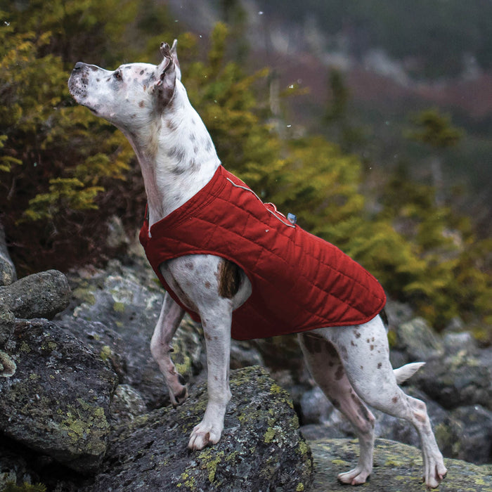 Kurgo Reversible Loft Jacket - Jeffers - Dog Supplies > Dog Apparel