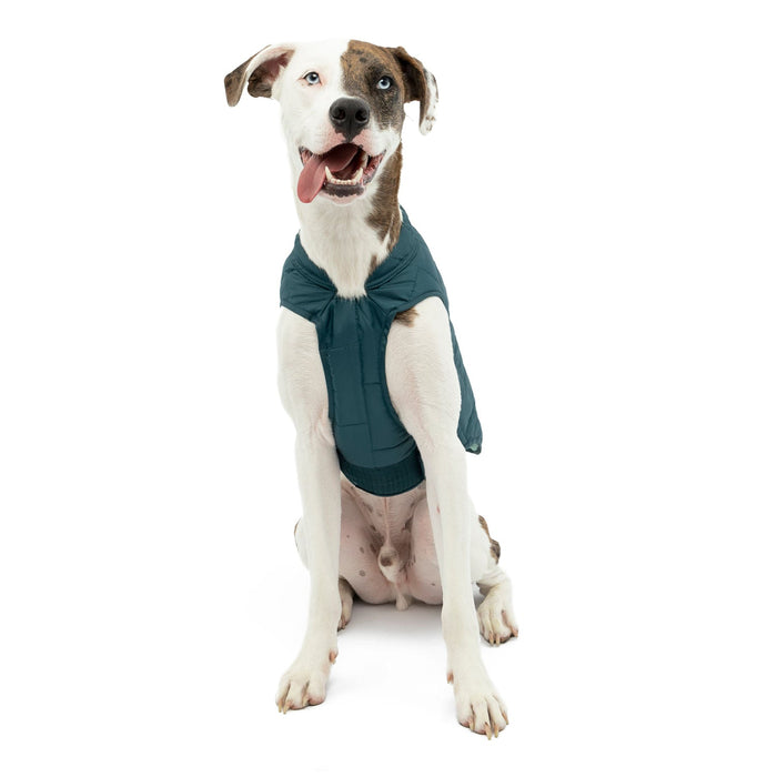 Kurgo Reversible Loft Jacket - Jeffers - Dog Supplies > Dog Apparel