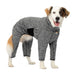 Kurgo Stowe Base Layer - Jeffers - Dog Supplies > Dog Apparel