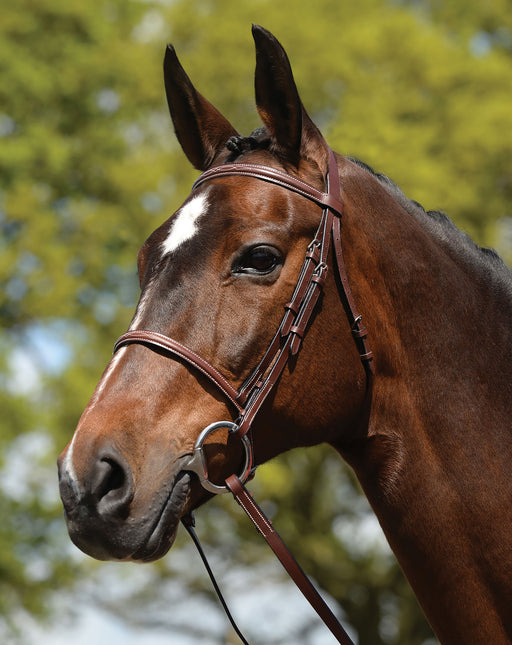 Weatherbeeta Fancy Stitched Bridle w/ Reins, Brown - Full  