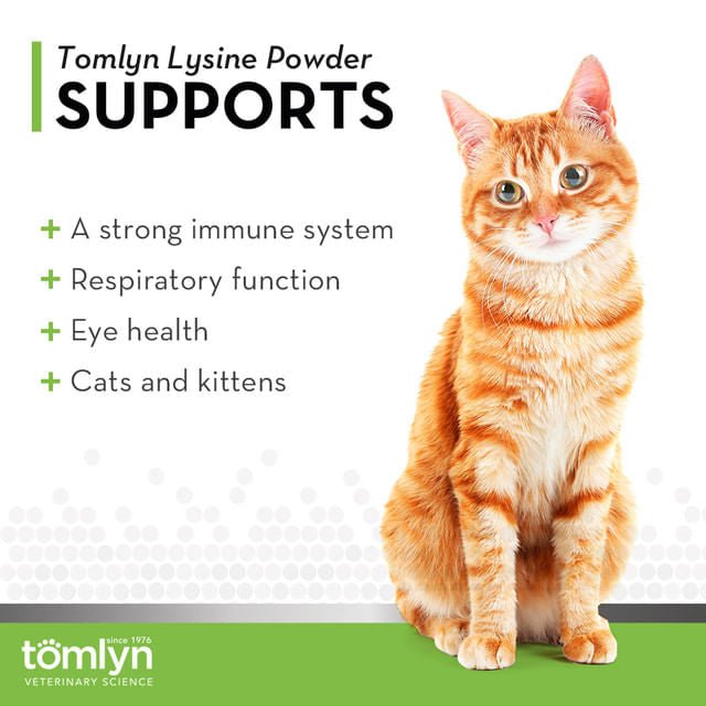 L - Lysine Powder Immune Support for Cats, 3.5 oz - Jeffers - Animal Health & Wellness > Eye Care