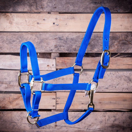 Large Horse Adjustable Halter with Throat Snap (900 - 1200 lb) - Jeffers - Horse Supplies > Horse Tack > Horse Halters