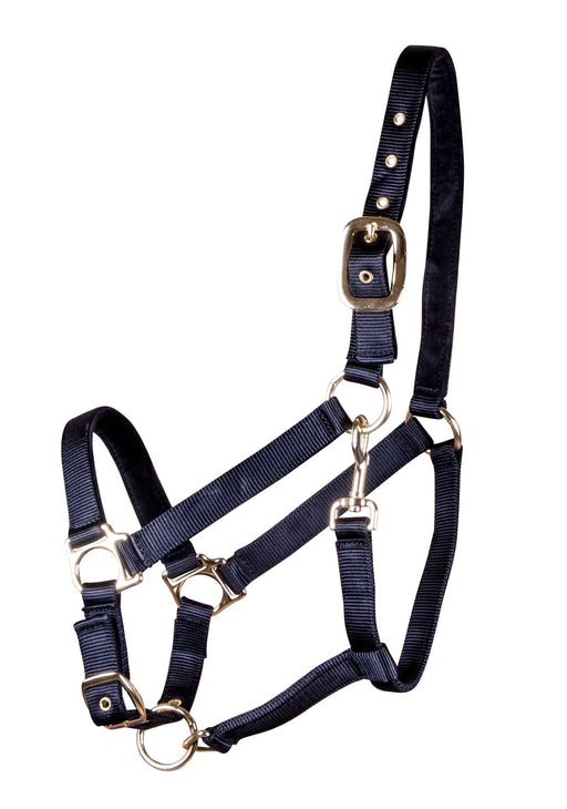 Large Horse Adjustable Nylon Halter, (900 - 1200 lb) - SS13 - Royal Blue - 3