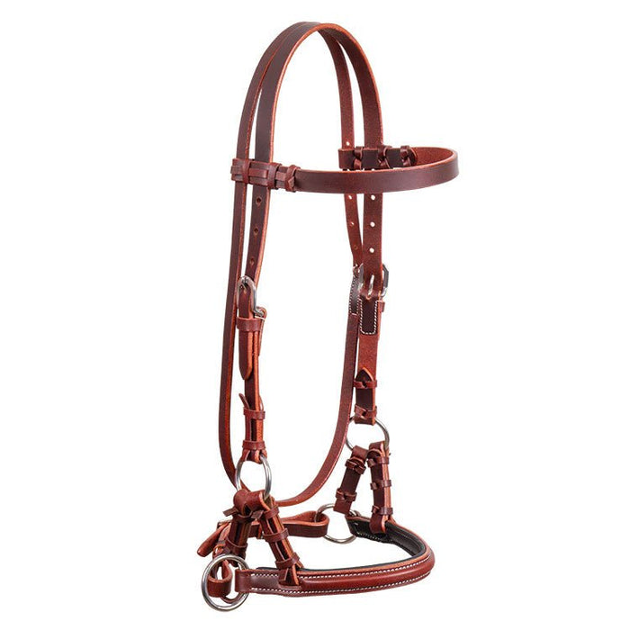 Latigo Padded Leather Sidepull - BUFWC - Brown - Horse - 1