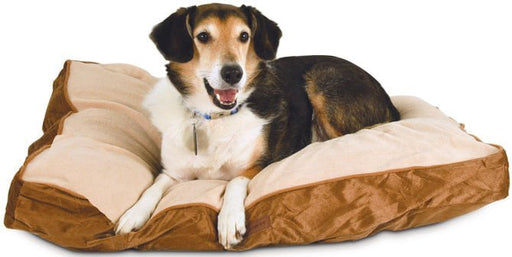 Laura Ashley Solid Plush Pillow Pet Bed, 36' x 27' x 4' - Jeffers - Dog Supplies > Dog Beds