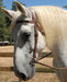 Leather Draft Horse Bridle - Jeffers - Horse Supplies > Horse Tack > Bridles & Headstalls