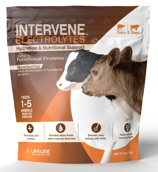 LIFELINE Intervene Nutritional Supplement - Jeffers - Animal Health & Wellness > Vitamins & Supplements