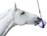 Likit Boredom Buster Toy for Horses - CA13 - 3