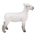 Little Buster Champion Dorset Market Lamb - Jeffers - Home Goods & Gifts > Toys