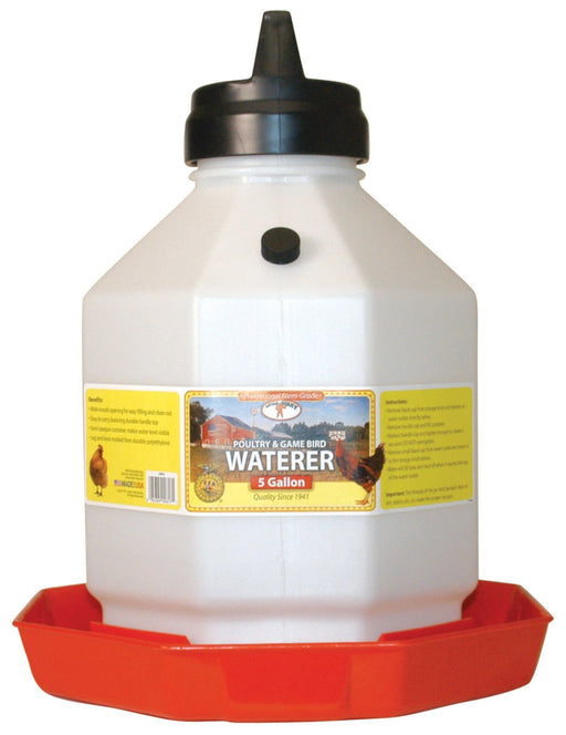 Little Giant Automatic Poultry Waterer (& Replacement Parts) - M3PG - 5 Gallon Automatic Chicken Waterer - 6