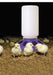 Little Giant Plastic Chicken Feeder Base - Jeffers - Farm & Ranch Supplies > Livestock Feeders & Waterers