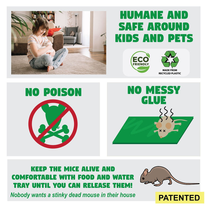 Live Catch & Release Mouse Traps, 2-Pack - B2F2 - 2 - 4