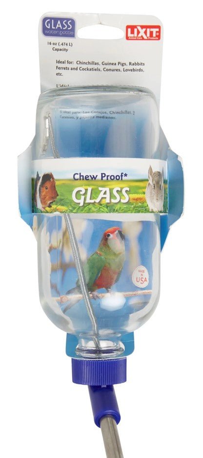 24 oz glass water bottles 24 oz. Glass Water Bottle main image 0