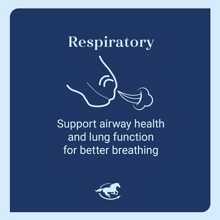Lung EQ, Respiratory Support Supplement for Horses, Pellets - SMAAH - 4 lb Bucket - 8