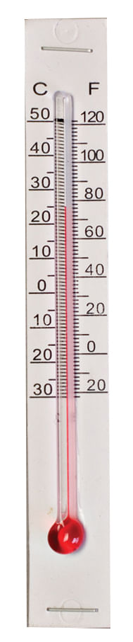 Incubator Thermometer -   