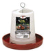 Little Giant Plastic Hanging Chicken Feeders - 3 lb Plastic Hanging Chicken Feeder  