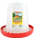 Little Giant Plastic Hanging Chicken Feeders - 11 lb Plastic Hanging Chicken Feeder  