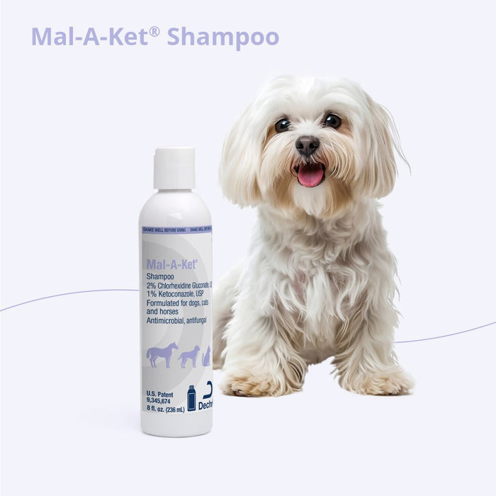 Mal - A - Ket Medicated Ketoconazole Chlorhexidine Shampoo for Horses, Dogs & Cats - 013DP-32081 - 8 oz - 4