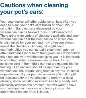 Mal - A - Ket Plus TrizEDTA Flush - 013DP-91125 - 12 oz - 9