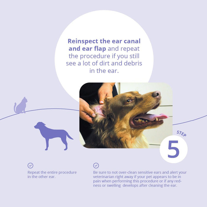 Malaseb Flush – Medicated Antibacterial & Antifungal Skin Flush for Dogs, Cats, and Horses - 019BAY-89267 - 12 oz - 8