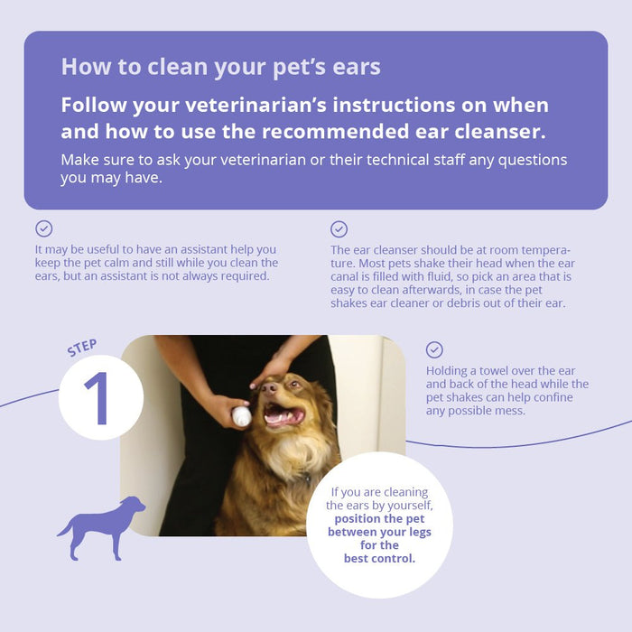 Malaseb Flush – Medicated Antibacterial & Antifungal Skin Flush for Dogs, Cats, and Horses - 019BAY-89267 - 12 oz - 4